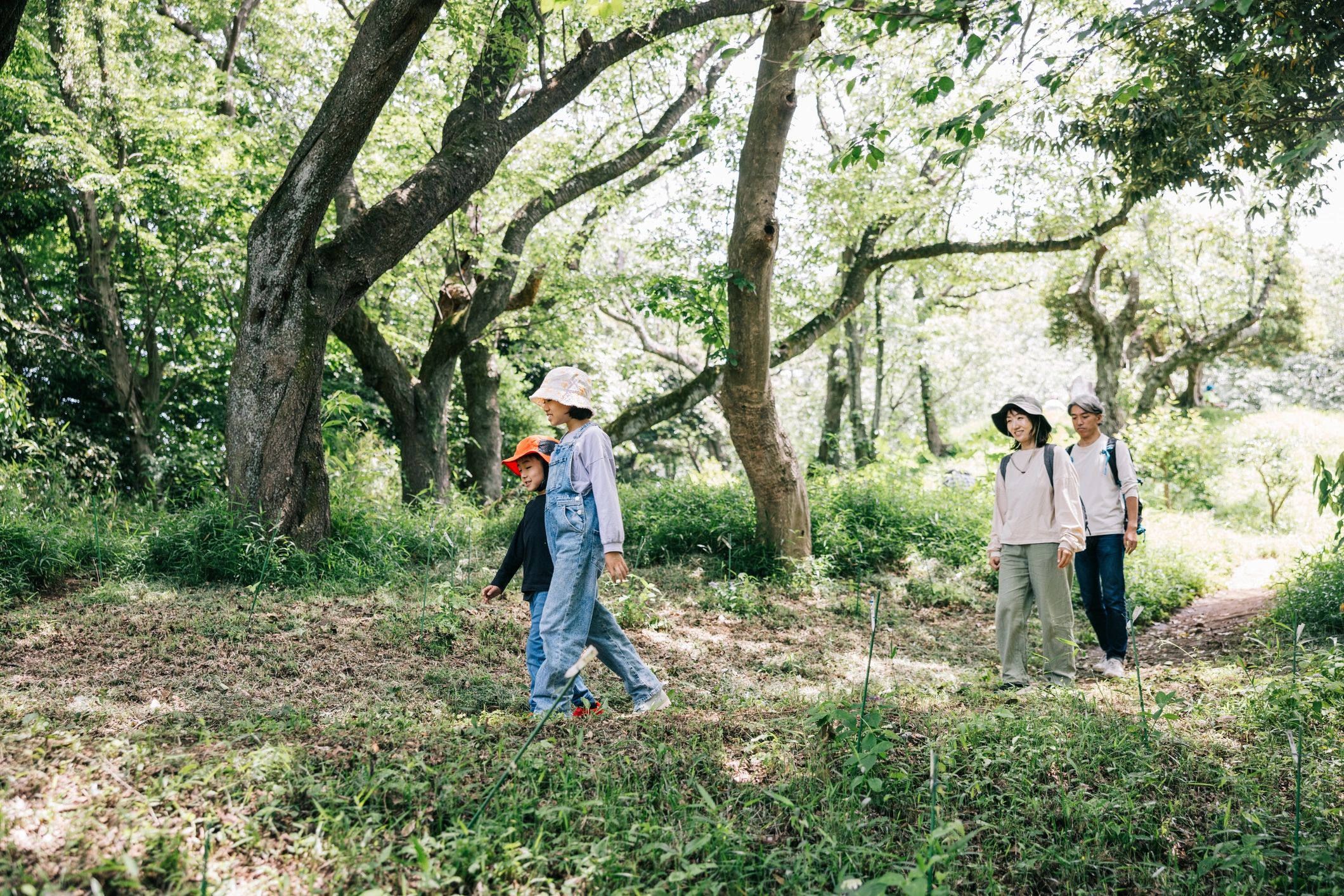 Family hiking together in nature, reflecting HISMA's grounded values
